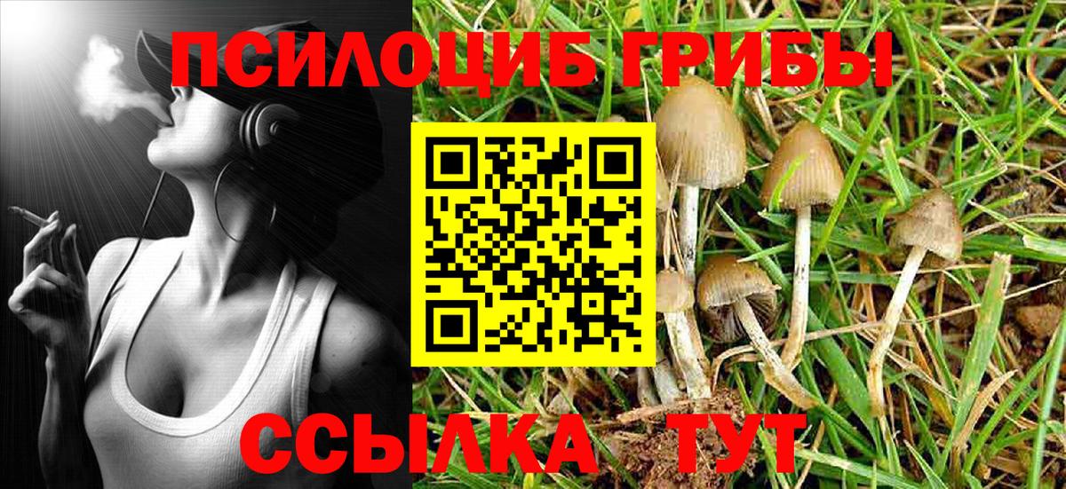 Дедовск  Псилоцибиновые грибы MAGIC MUSHROOMS  Галлюциногенные грибы мицелий  Вход с VPN 