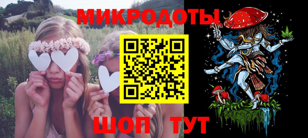 Псилоцибиновые грибы Psilocybe Дедовск